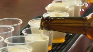 beer