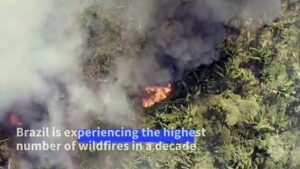 burn