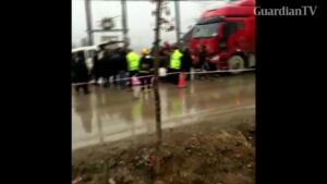 bus