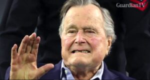 bush