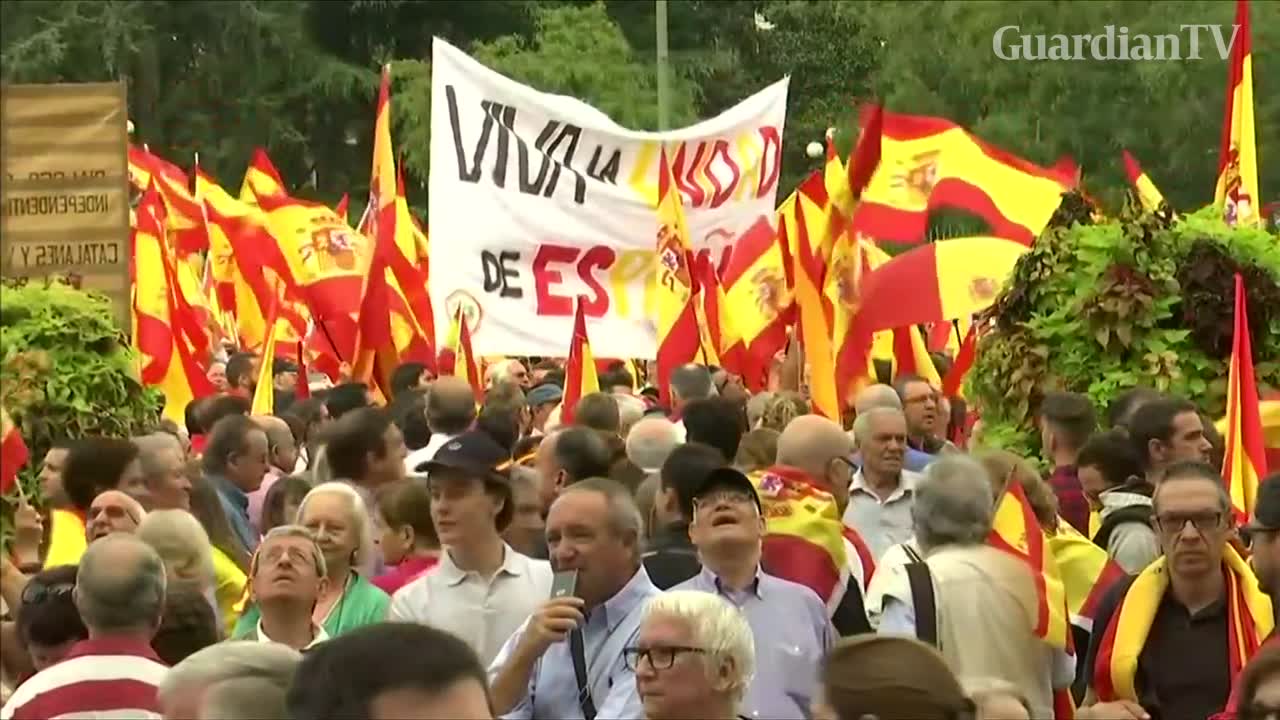 catalo
