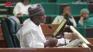 dogara