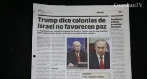 dominocan