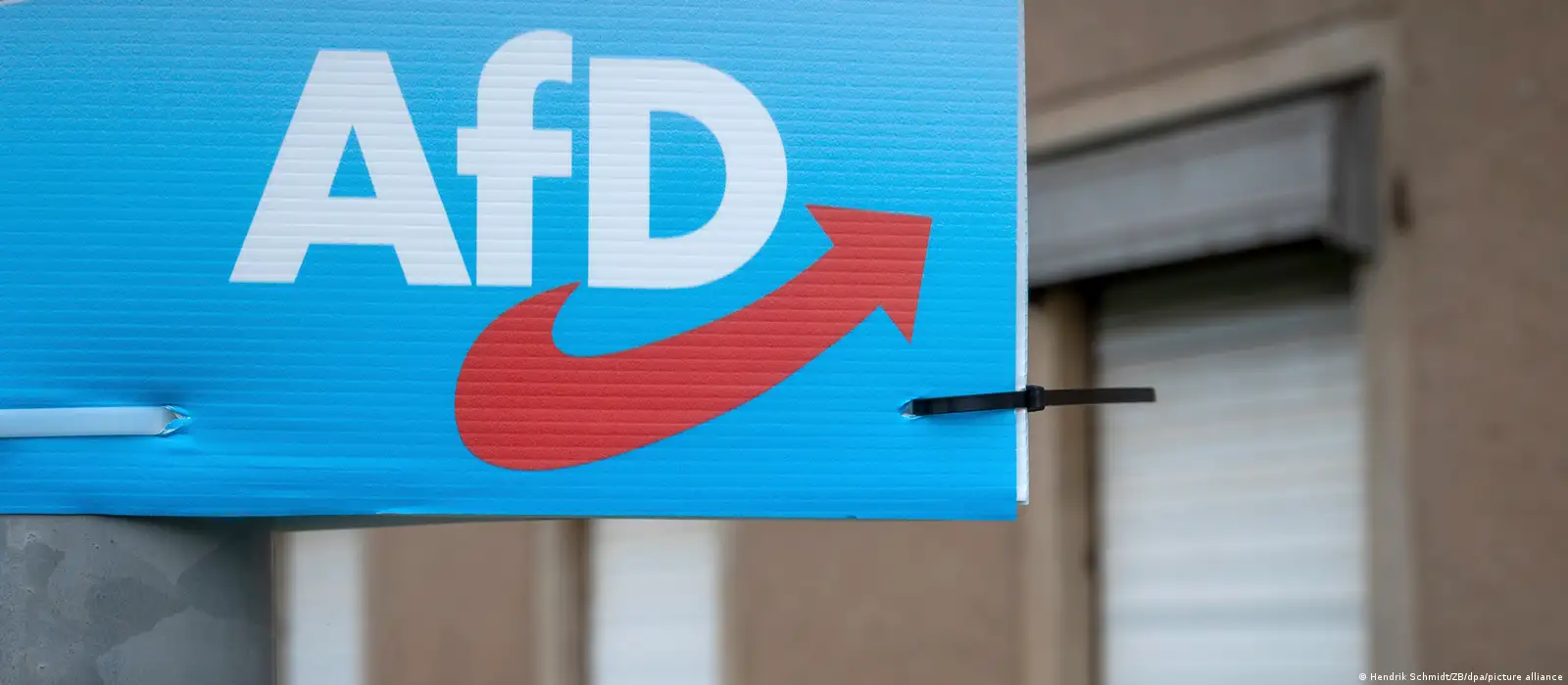 afd-germany