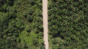 fashion-and-the-planet