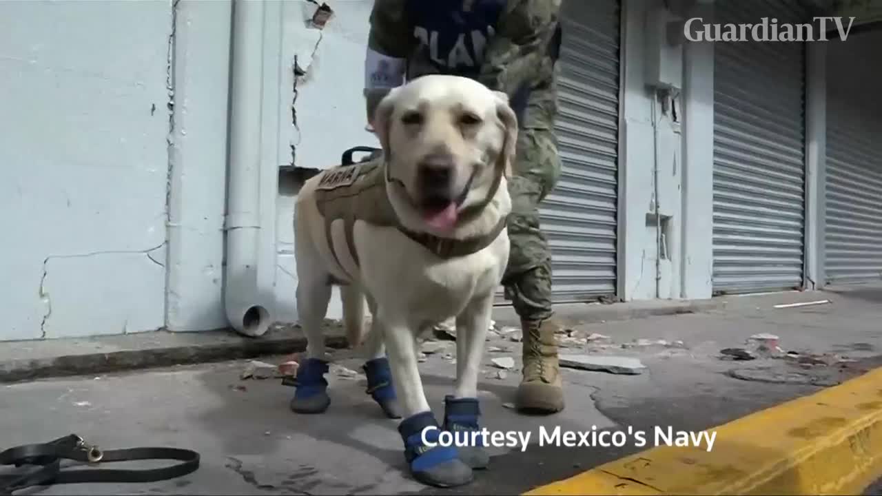 fri