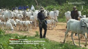 fulani