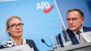 germany afd riding high despite setbacks