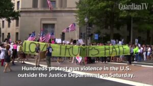 gun