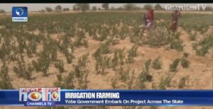 irrigations