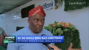 Why-Nigeria-must-revamp-its-agricultural-sector-by-and-reintroduce-DFRRI