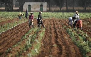 To match feature AFRICA-LAND/SAFRICA