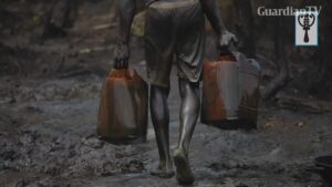 oil-3