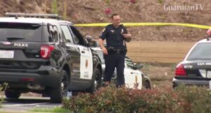 police-1