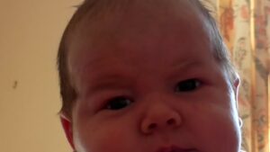 What a newborn baby sees
