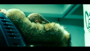 Beyonce’s ‘Lemonade’ tops Billboard, Prince reigns on album chart