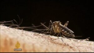 promo290858625