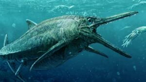 170m year old ‘sea monster’ ruled the waves