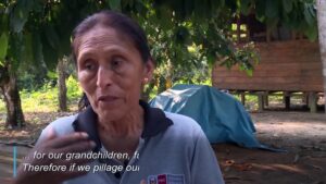 Wildfires-ring-alarm-bells-over-deforestation-in-the-Amazon