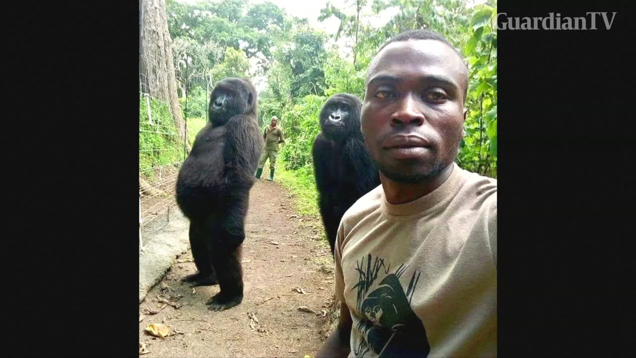 selfie