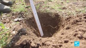 soil