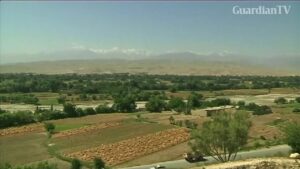 taliban