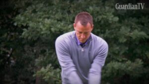 terry