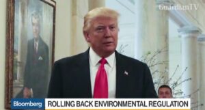 trump-19