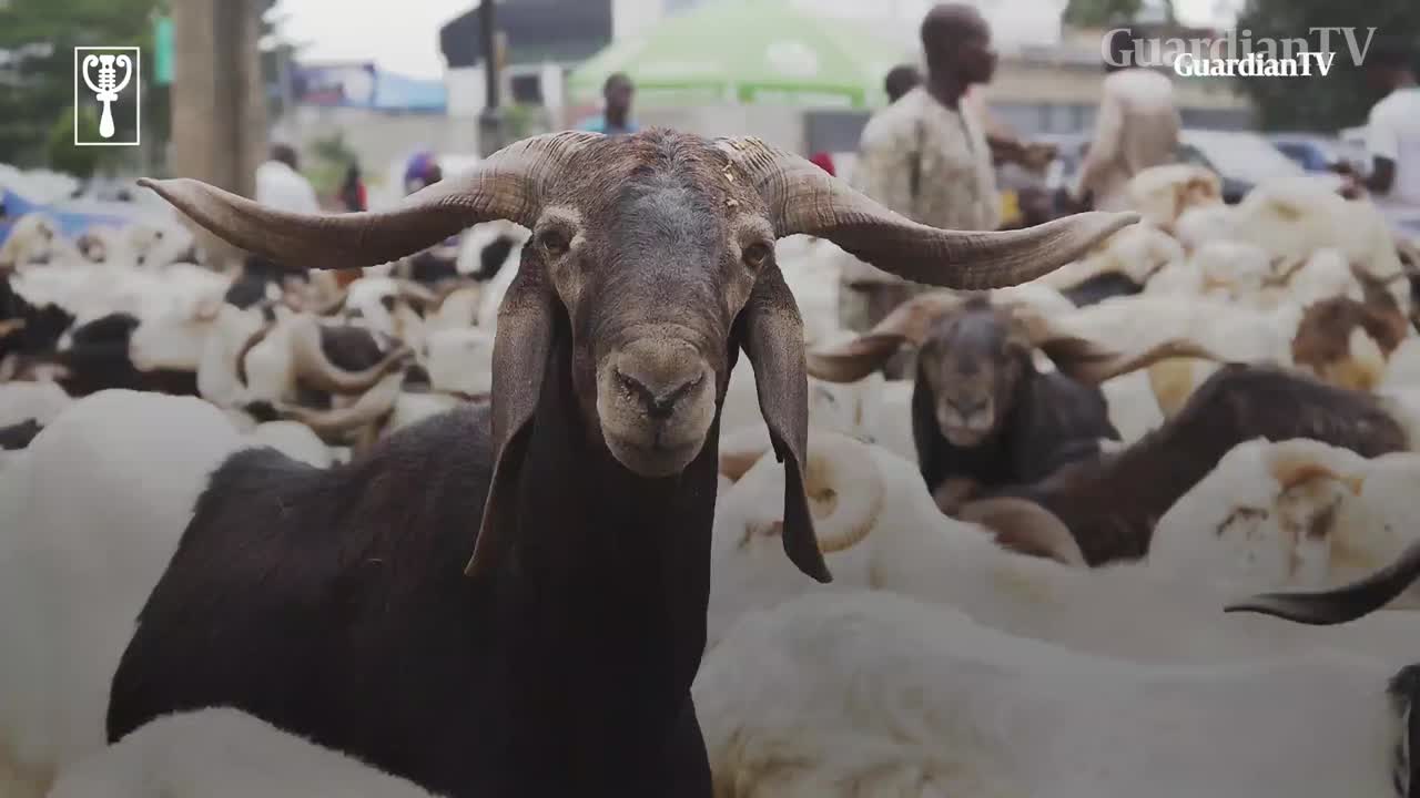 unnamed-file.Ram