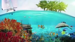 Pacific-nation-Palau-first-to-ban-reef-toxic-sunscreens-to-save-coral