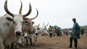 Is creation of Nigeria’s livestock ministry viable option