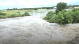 West Africa’s biggest vegetable farm destroyed by floods
