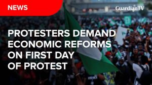 More laments from aggrieved Nigerians at August 1st protest