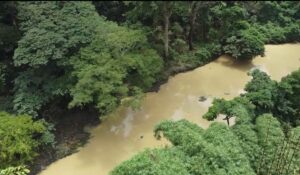 Pollution in Nigeria’s revered Osun river fails to deter devotees