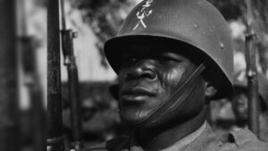France’s forgotten colonial troops and the Provence landings