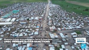 UNSC renews Sudan sanctions; NGOs say it’s not enough