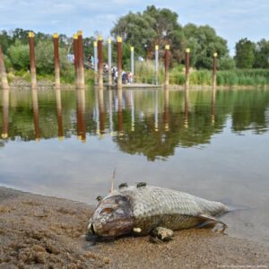 Poland: 2022 Oder River disaster has affected local tourism