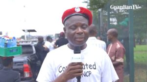 #FearlessOctober1: ‘The protest was teleguided by the Nigerian police’ – Protester
