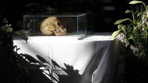 The 20th century’s first genocide in Namibia