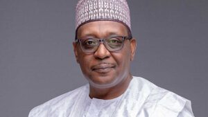 Nigeria plans first-ever state of health report