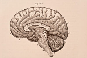 Science-based tips for exam revision