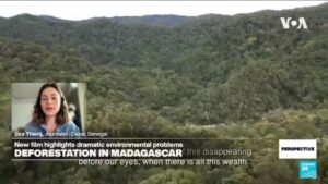 ‘Madagascar on Fire’: New film highlights deforestation in Madagascar