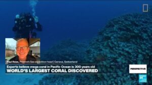 Diver Paul Rose describes ‘brilliant feeling’ of world’s largest coral discovery