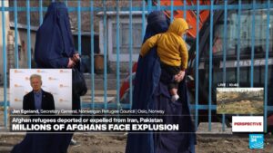 Millions of Afghans face expulsion from Iran and Pakistan ‘back to nothing’, NGO warns