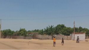 Over 700 killed in siege of Sudan’s El Fasher