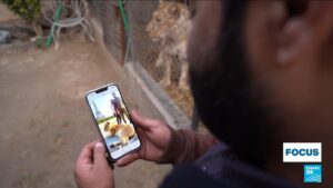 Pakistan’s social media influencers seek to gain followers by owning big cats