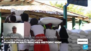 Humanitarian crisis in Haiti: ‘Population is on the brink of starvation,’ charity says