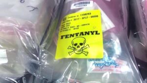 What role do Mexico, Canada and China play in the flow of fentanyl into the United States