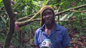 Higher cocoa prices raise standard of living in Cameroon