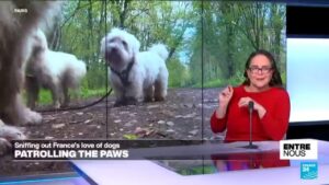 Paw patrolling: Sniffing out France’s love of dogs